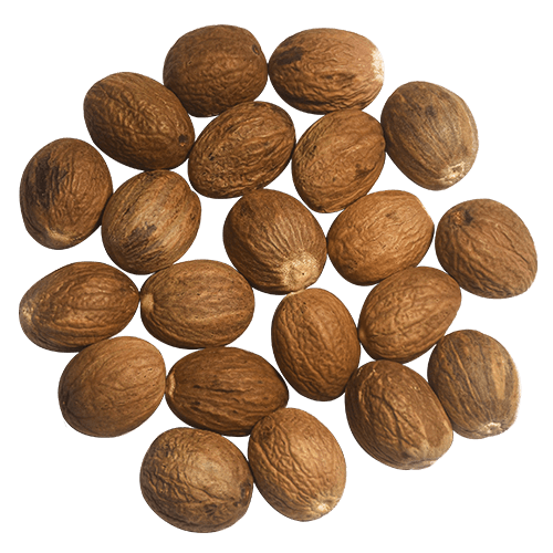 Organic Ceylon Nutmeg Medium