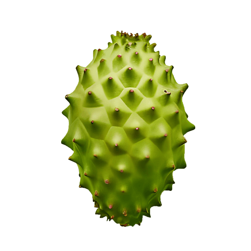 Organic Ceylon Fruit Soursop