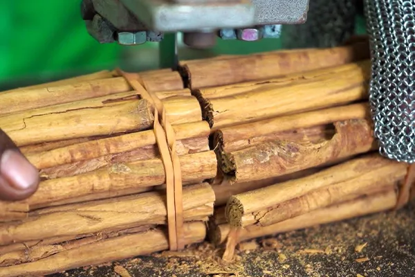 Organic Spices Images