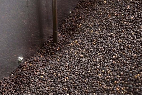Gallery | Organic Ceylon Spices Exporter 13 Organic Spices Images
