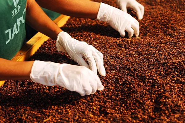 Organic Spices Images