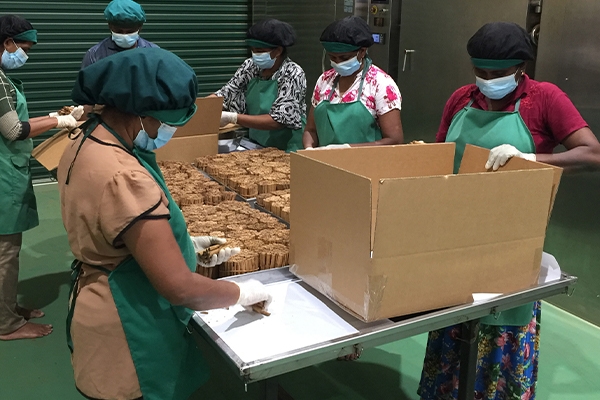 Gallery | Organic Ceylon Spices Exporter 10 Organic Spices Images