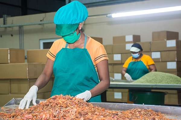 Gallery | Organic Ceylon Spices Exporter 18 Organic Spices Images