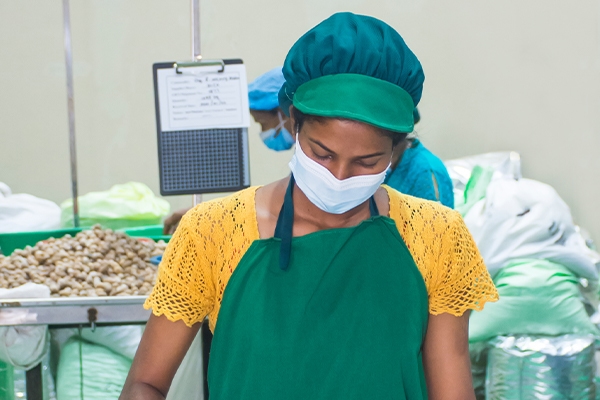 Gallery | Organic Ceylon Spices Exporter 12 Organic Spices Images