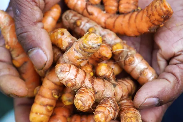 Organic Supply Chain Images