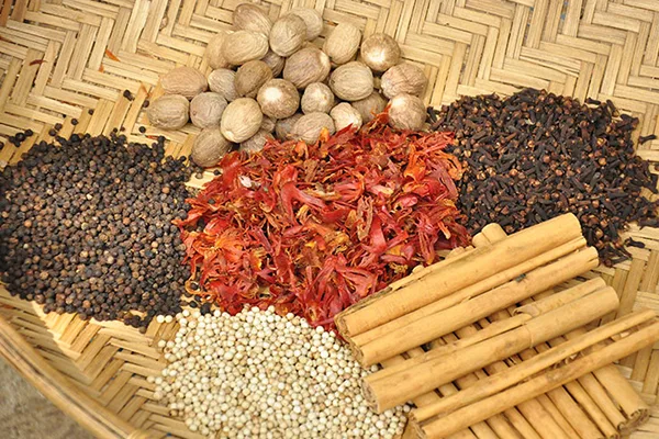 Organic Supply Chain Images