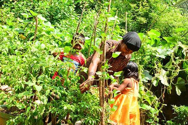 Organic Supply Chain Images