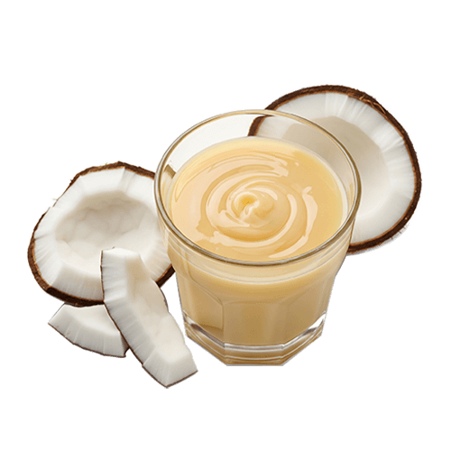 Organic Coconut Products | Organic Ceylon Spices Exporter 10 Organic Sweetened Condensed Coconut Milk