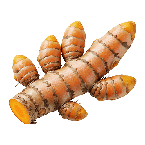 Organic Ceylon Turmeric Whole