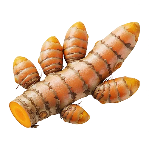 Organic Ceylon Turmeric Whole