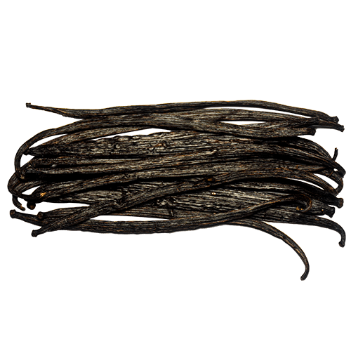 Organic Ceylon Vanilla Short