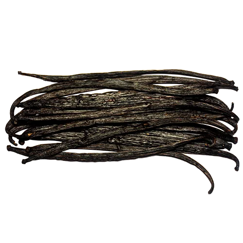 Organic Ceylon Vanilla Short