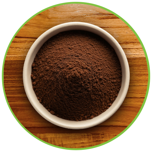 organic Vanilla Powder