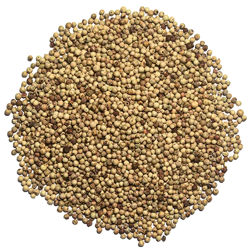 Organic Ceylon White Pepper Whole