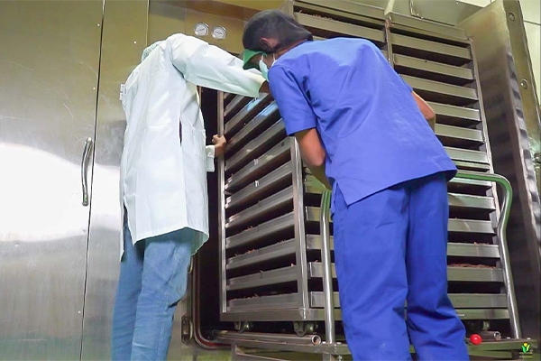 Steam Sterilization for Spices and Herbs: The Gold Standard in Organic Food Safety 2 Steam Sterilization Spices and Herbs