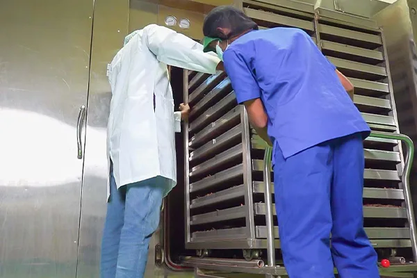 Organic Steam Sterilization Products Image