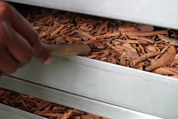 Steam Sterilization Ceylon Cinnamon