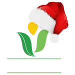 JAPC Christmas Logo