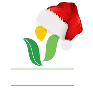 JAPC Christmas Logo