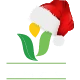 JAPC Christmas Logo