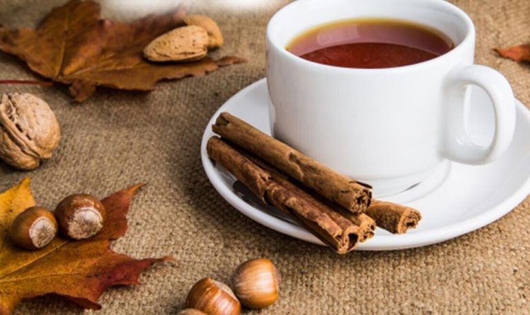 Organic Ceylon Cinnamon Tea