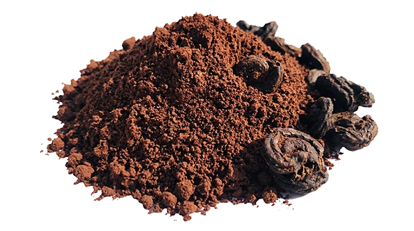 Garcinia Cambogia Powder