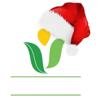 JAPC Christmas Logo